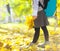 Little schooler girl in the autumn park