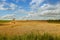 Little shed in a field