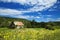 Little shed in a meadow