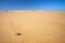 Little shell on a flat beach with Blue Sky