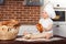 Little smiling baby girl baker in white cook hat and apron