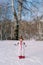 Little smiling girl stands on a snowy lawn in a winter forest