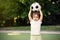 Little soccer player at football field outdoors: toddler boy holding ball above head ready to throw it in sunny day. Summer