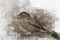 Little sparrow Watercolor Digital Painting vintage effect. Bird illustrationLittle sparrow Watercolor Digital Painting vintage