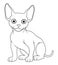 Little Sphynx Cat Cartoon Animal Illustration BW