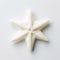 Little Star: A High Resolution Knitting Starfish On A Minimalist White Surface