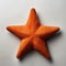 Little Star: A Symbolic Neoprene Pillow Inspired By Marine Biology