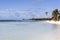 Little Stirrup Cay Beach With Seagulls