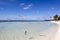 Little Stirrup Cay Seagulls Over The Beach