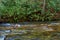 Little Stoney Creek near Dungannon, Virginia