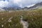 A Little Stream in Dolomites landscape. Little river stream in the mountain, Dolomites, Sudtirol, Trentino Alto Adige, Italy