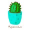 Little succulent vector illustration of cactus in pot in cartoon style