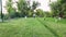 A little sweet girl runs along the green grass with her friend the dog.