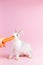 Little tame rabbit eating a carrot pink background