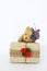 Little teddy bear with Christmas gift box