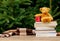 Little teddy bear toy and books on wooden table with spruce branches on background