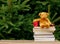 Little teddy bear toy and books on wooden table with spruce branches on background