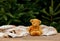 Little teddy bear toy and scarf on wooden table with spruce branches on backgrou