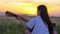 Little teenager girl playing the guitar. beautiful summer landscape at sunset. art Music Concepts. dandelions field near the town.