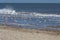 Little Terns Sternula albifrons Flying along the Beach at Wint