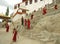 Little Tibetan Buddhist monks carrying firewood