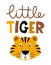 Little Tiger - funny Tiger character drawing. Lettering poster or t shirt textile graphic design.