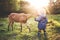 A little toddler boy feeding a goat outdoors on a meadow at sunset.