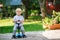 Little toddler boy riding on his bycicle in summer