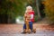 Little toddler boy with teddy bear, riding wooden dog balance bi