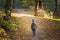 Little toddler boy walking alone through autumn forest. Path in life. Bullying in school concept. Scare and fright. Back