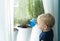 Little toddler boy watering herbs on the window. Home herbal garden