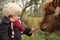 Little toddler feeding a pony