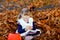 Little toddler girl dressed as a witch trick or treating on Halloween. Happy child outdoors, with orange funny hat and