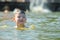 Little toddler kid swimming in lake with inflatable arms aids support