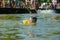 little toddler kid swimming in lake with inflatable arms aids support