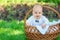 Little toddler in a white suit getting out of a basket on a picnic. Easter fun, surprise and family activity concept