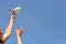 Little toy plane in a woman`s hand on a background of blue sky. Reaching goals