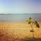 Little tree on beach front at Magnetic Island, Townsville Australia