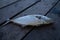 Little trevally fish on wooden fishing pontoon