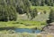 Little Truckee River in the Perazzo Meadows