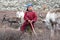 Little tsaatan boy posing with his family`s reindeer.