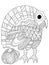 Little turkey bird and pumpkin vector coloring page