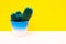 Little turquoise cactus on a yellow background. Copy space. Houseplants concept