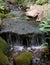 Little Waterfall Between Rocks and Green Plants and Two Geranium Flowers