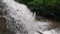 A little waterfall or stream of water cascading from the jungle\\\'s rocks