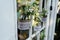 Little wedding floral decorations in rustic style hang in jars