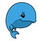 Little whale animal character  cartoon