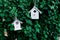 Little white birdhouses hanging in garden on a tree