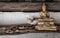 Little white cat with shredded bird body under the protection of a golden buddha statue