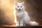 Little White Cat Sitting The Tiny and Serene Domestic Companion. Generative By Ai